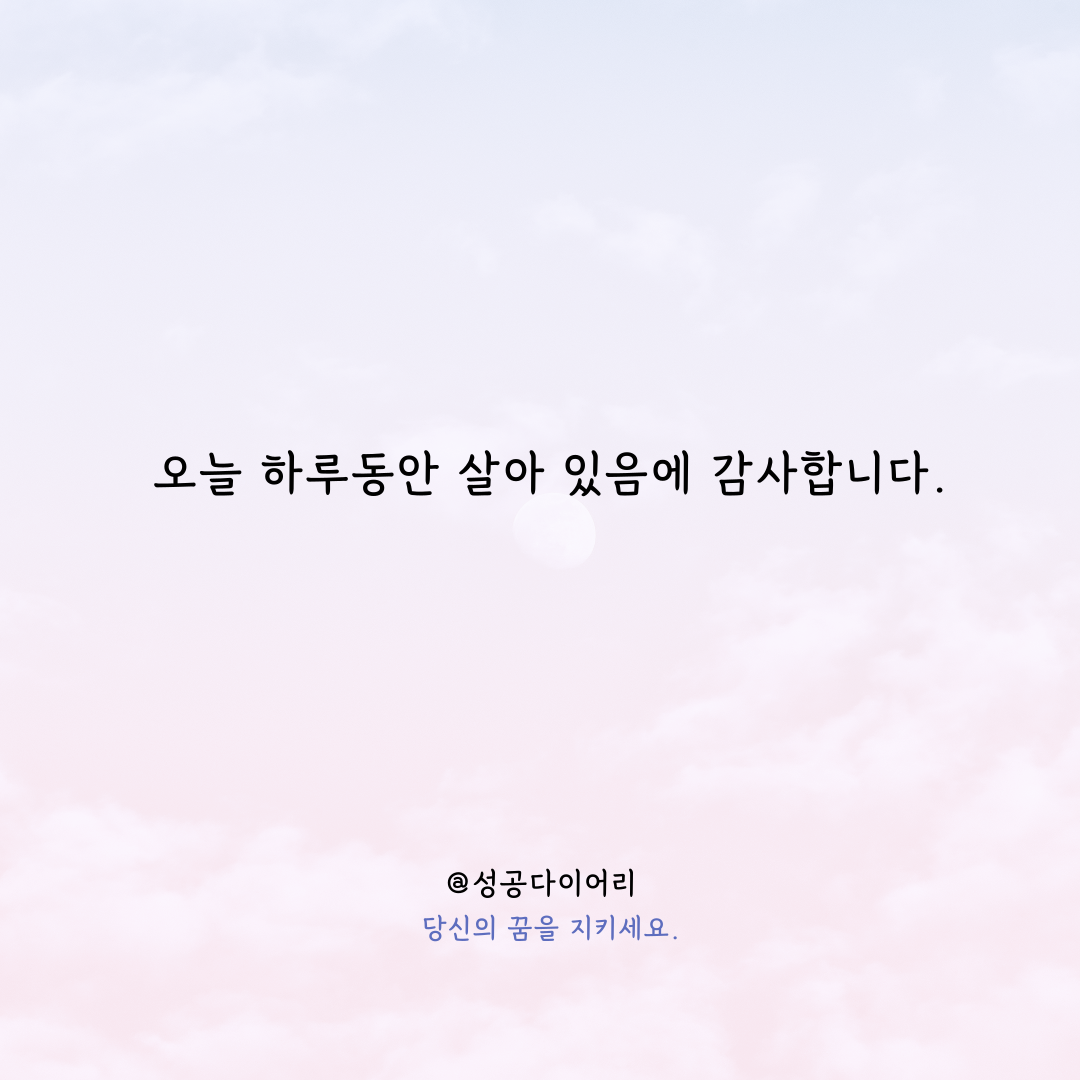 성공다이어리 (2).png