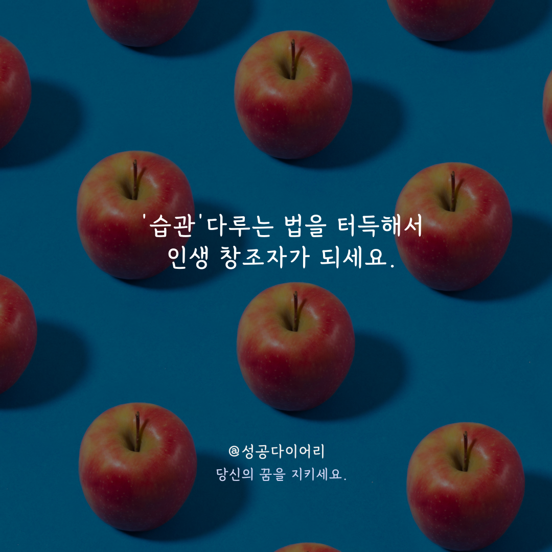 성공다이어리 (10).png
