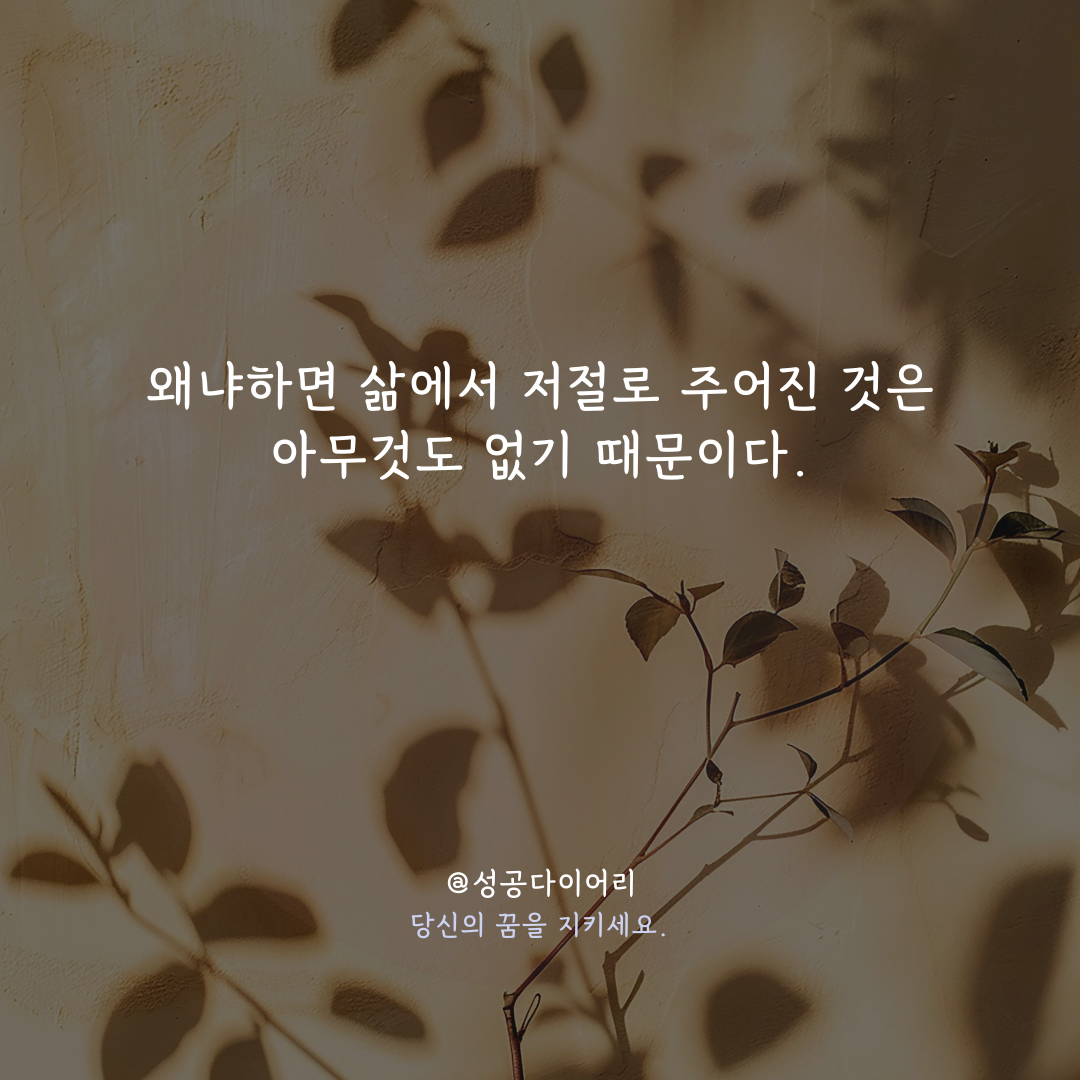 성공다이어리 (2).png