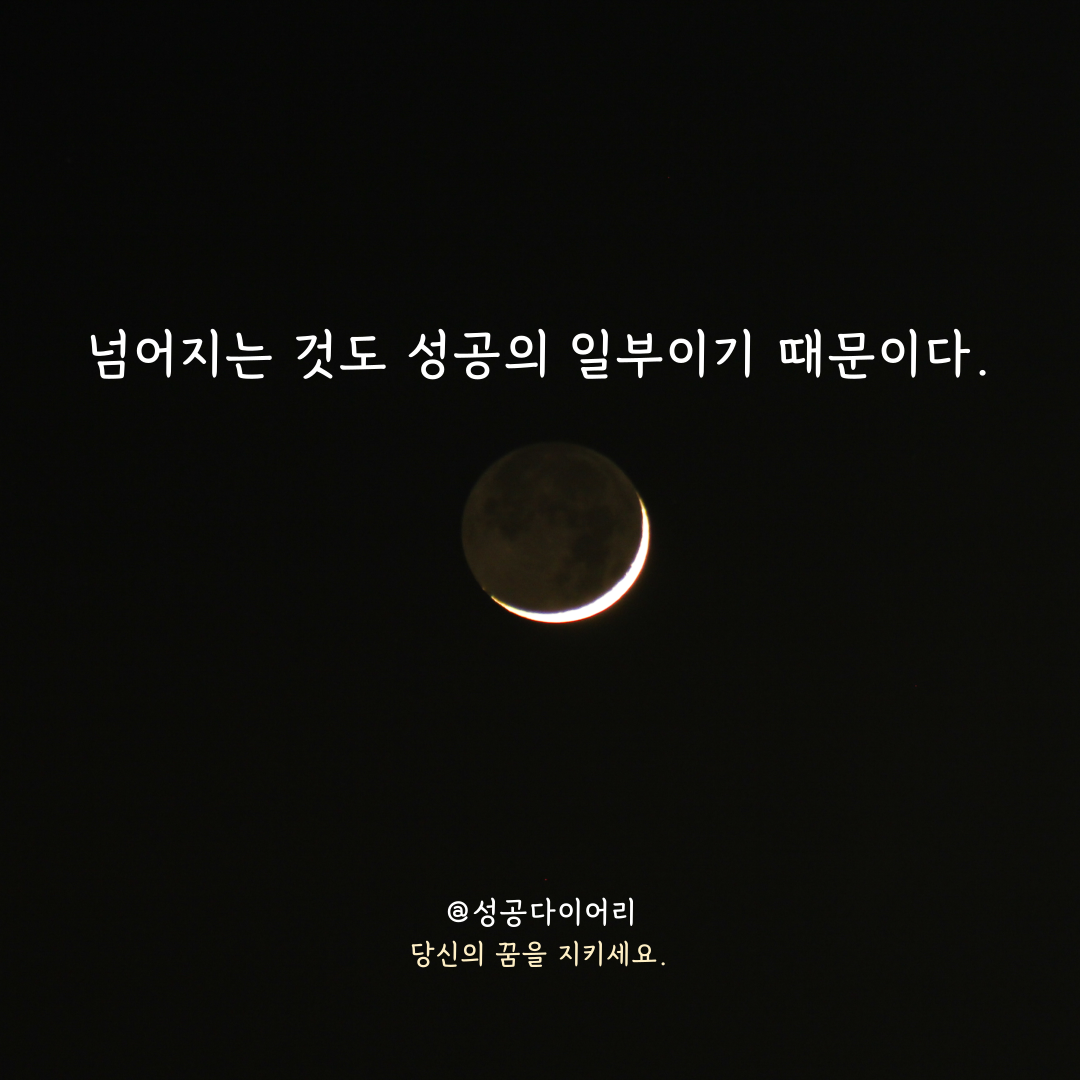 성공다이어리 (3).png