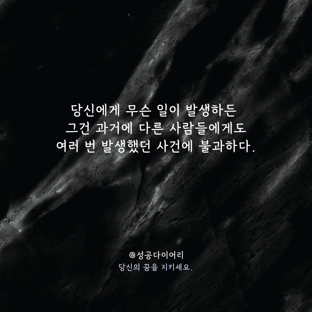 성공다이어리 (2).png