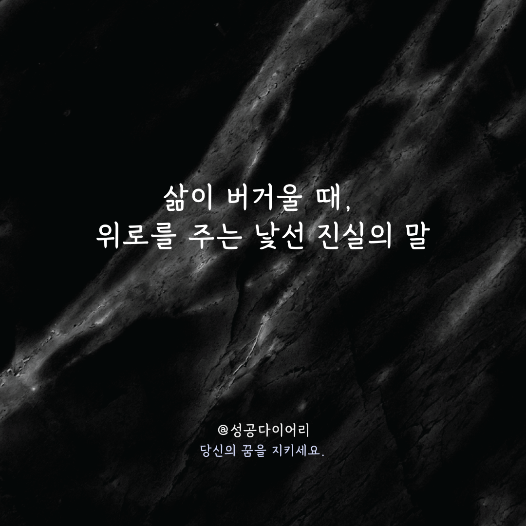 성공다이어리 (1).png
