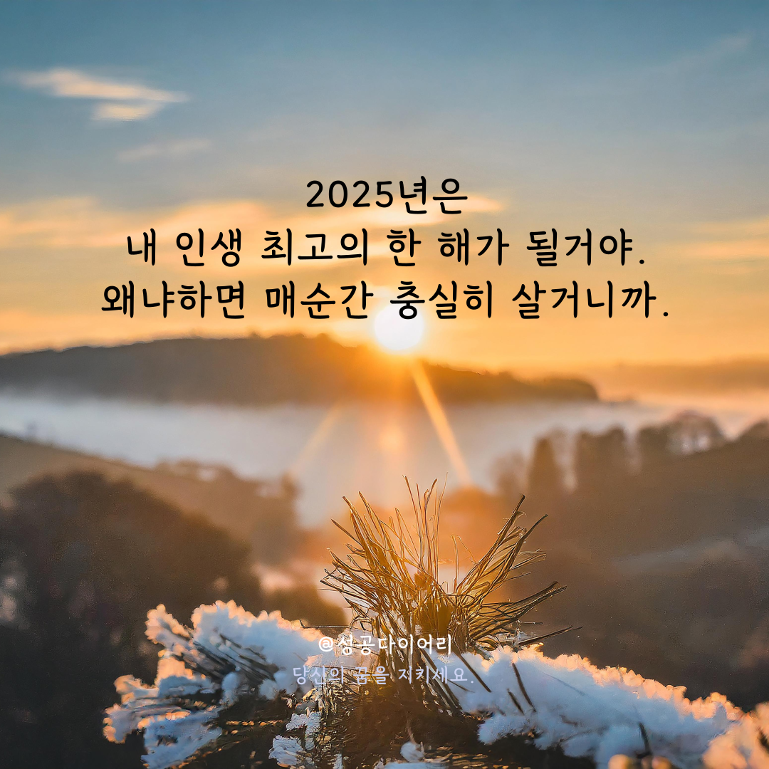 성공다이어리 (2).png