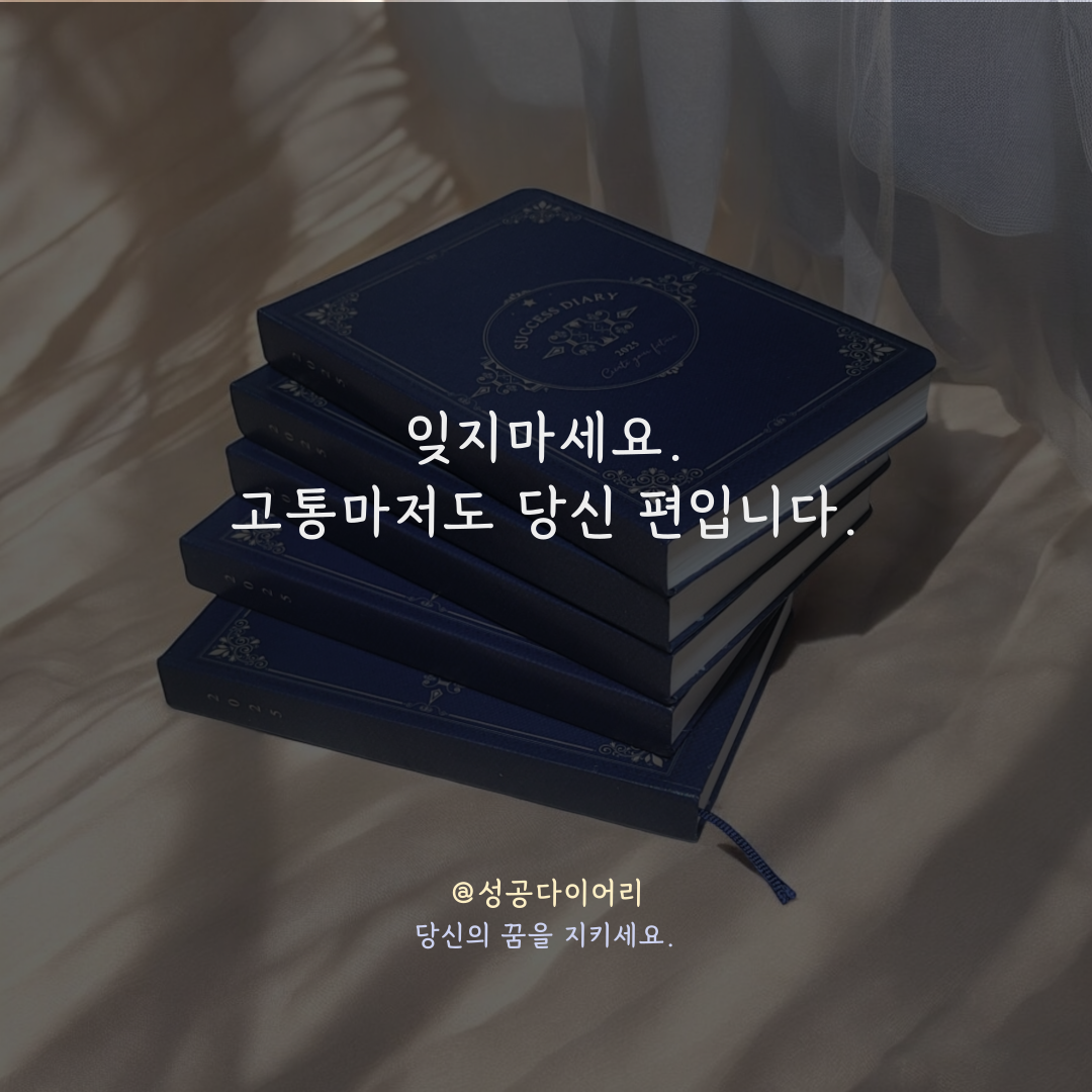 성공다이어리 (1).png