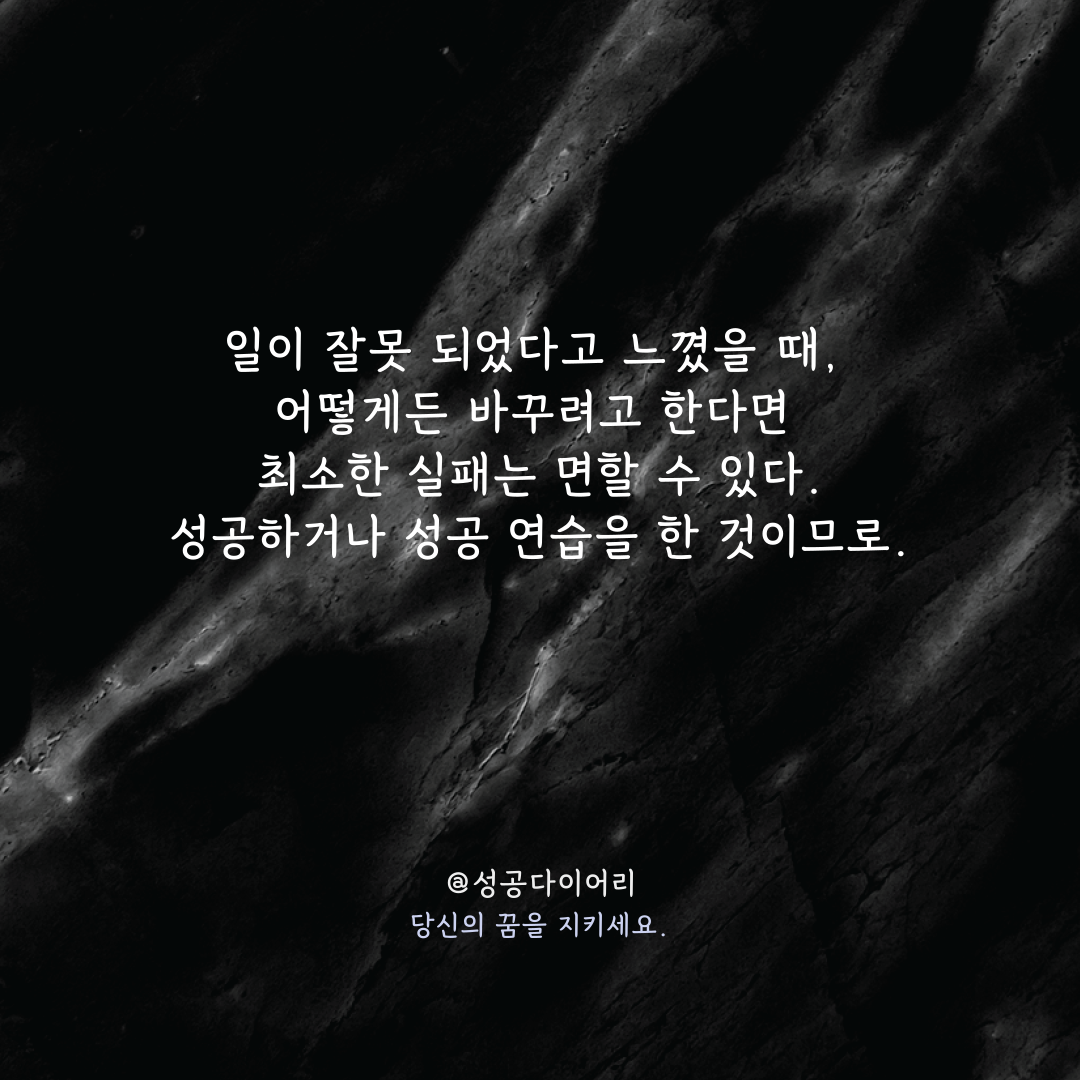 성공다이어리 (7).png