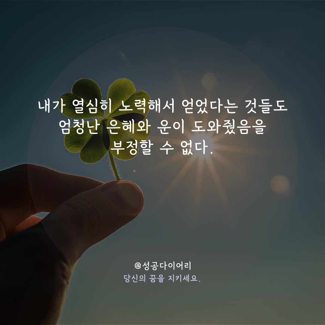 성공다이어리 (3).png