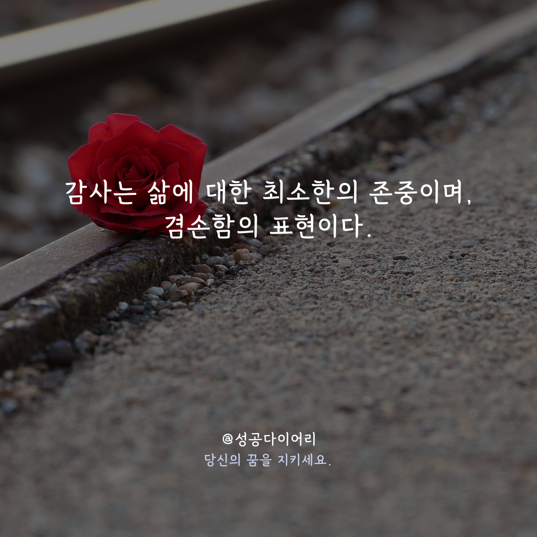 성공다이어리 (8).png