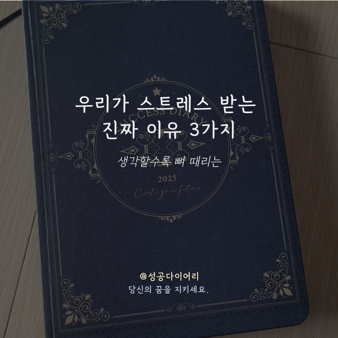 성공다이어리 (1).png