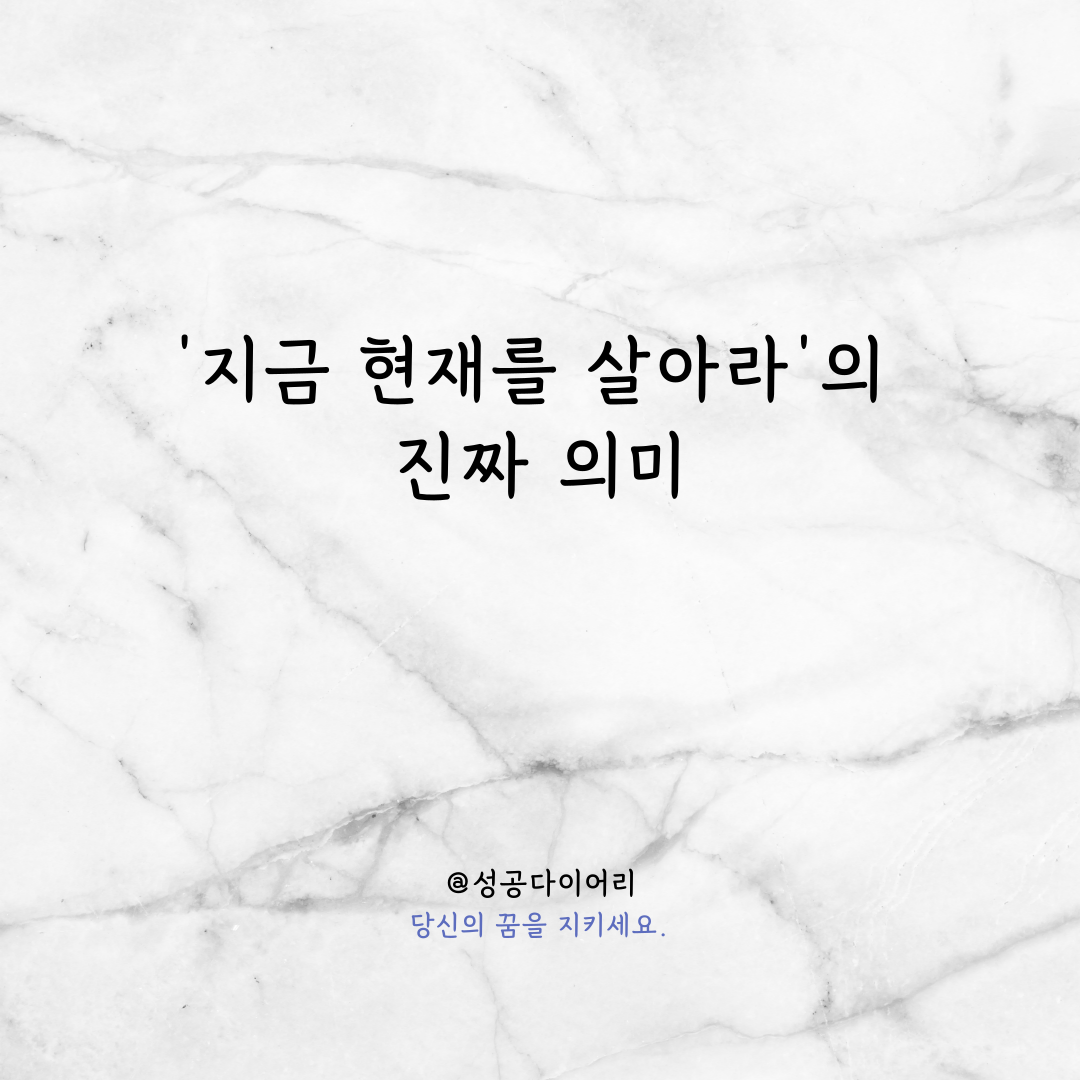 성공다이어리 (1).png