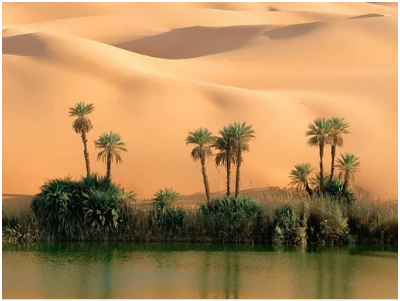 리비아 페잔 지역의 오아시스(나무위키).png