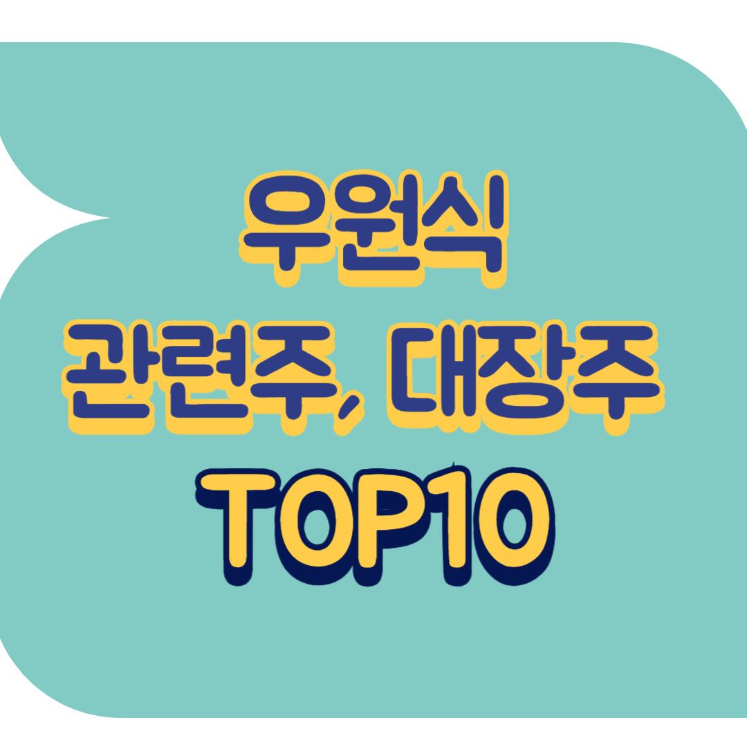 우원식 관련주.png