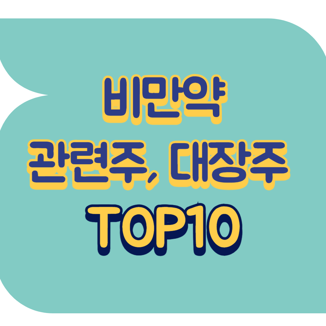 비만약 관련주.png