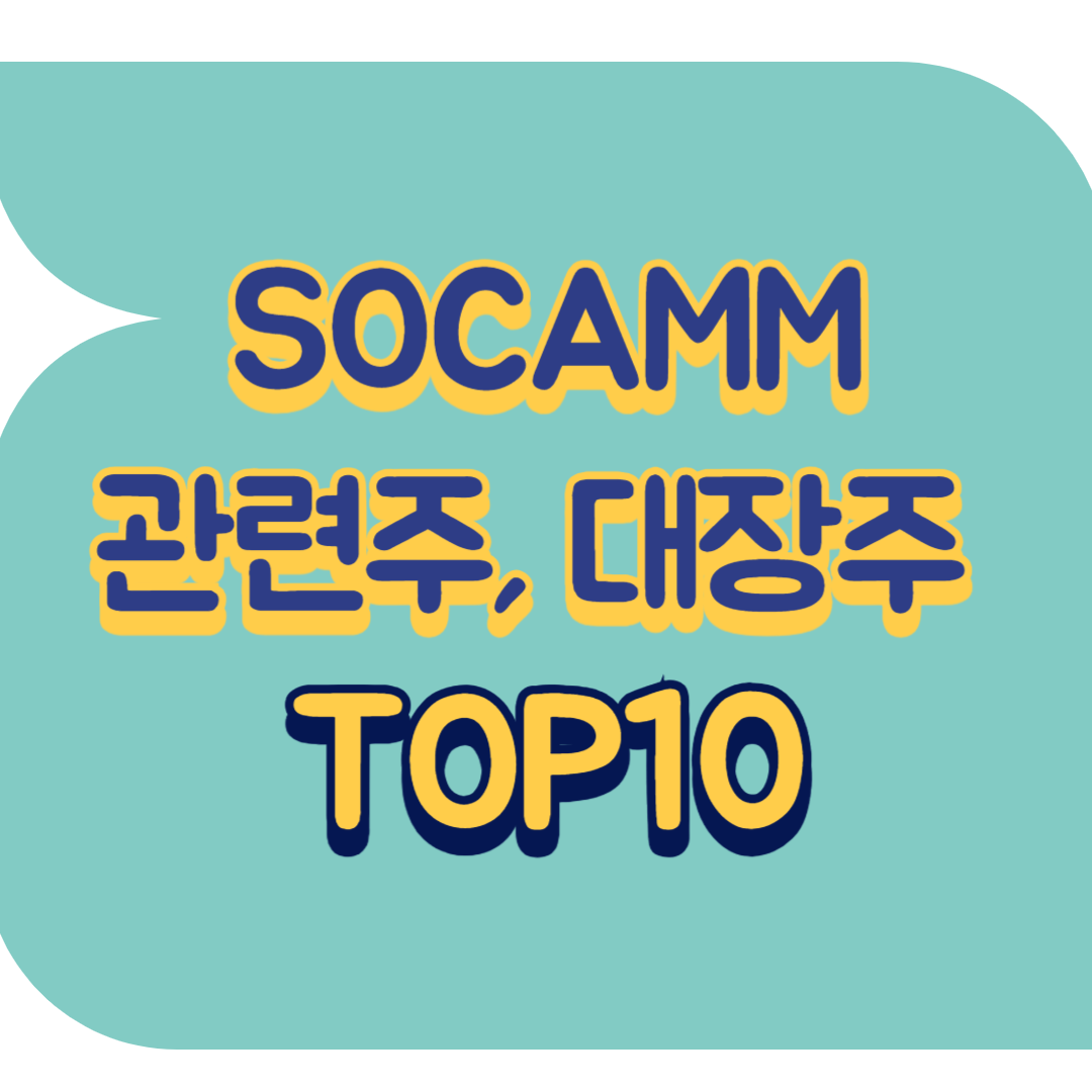 SOCAMM 관련주.png