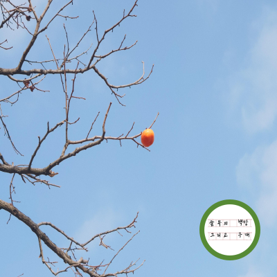 무너져도 괜찮아 11편.png