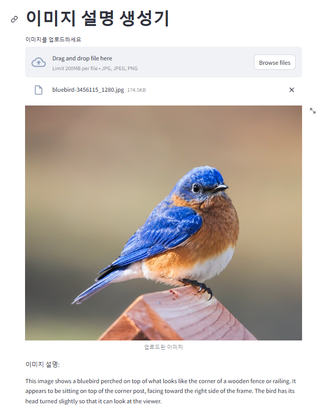 화면 캡처 2024-12-27 002129.png