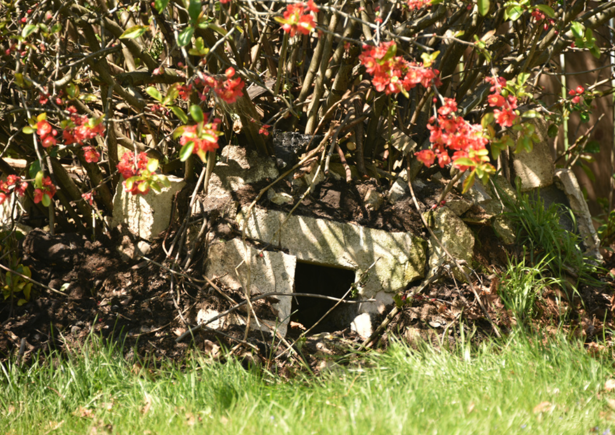 브런치 12화 2.png