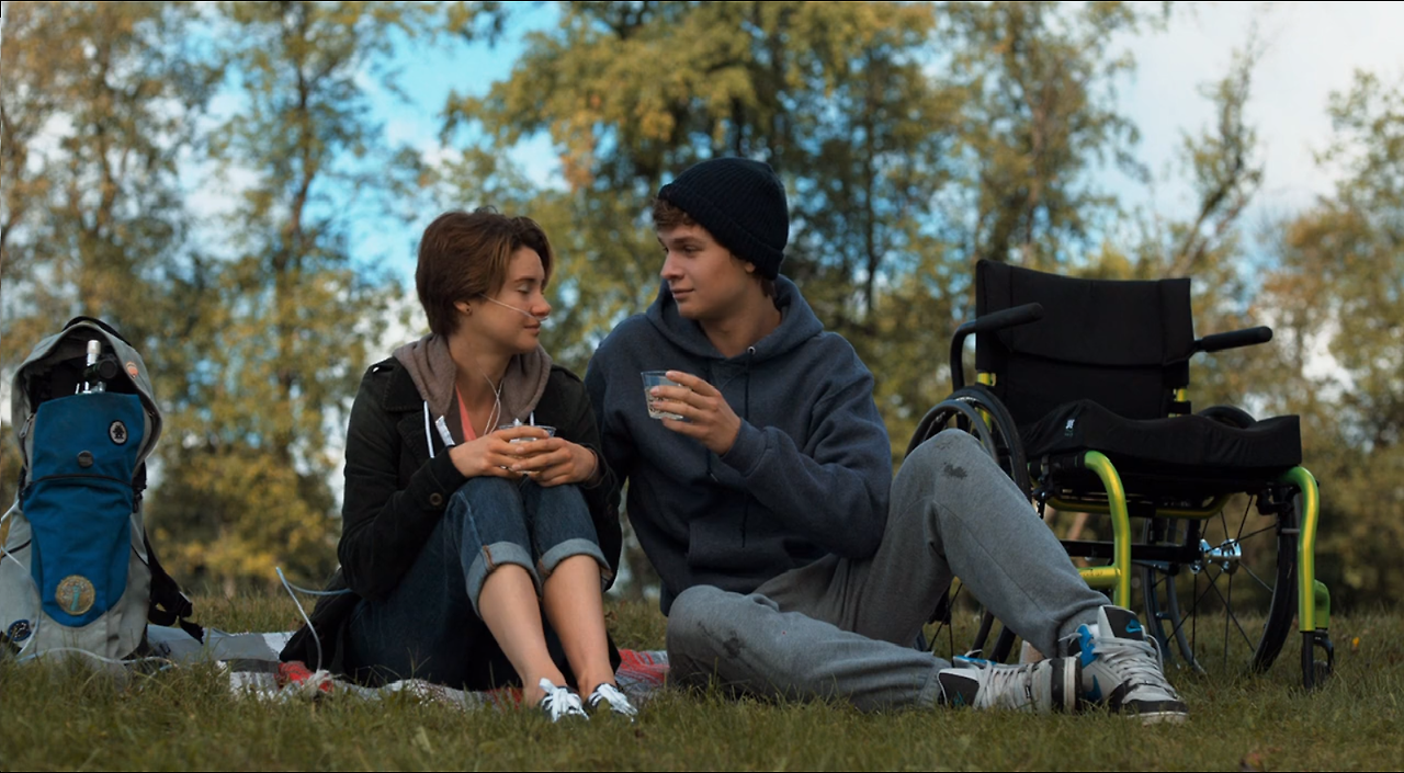 Fault in Our Stars 1.png