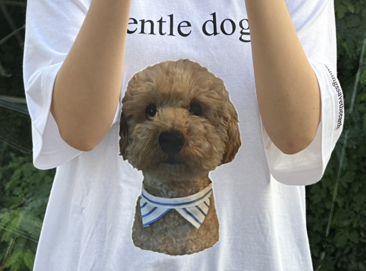 스크린샷 2024-11-11 오전 9.22.57.png