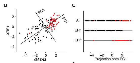 41587_2008_Article_BFnbt0308303_Fig1_HTML (1).png