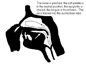 스크린샷 2024-11-26 오전 9.05.46.png