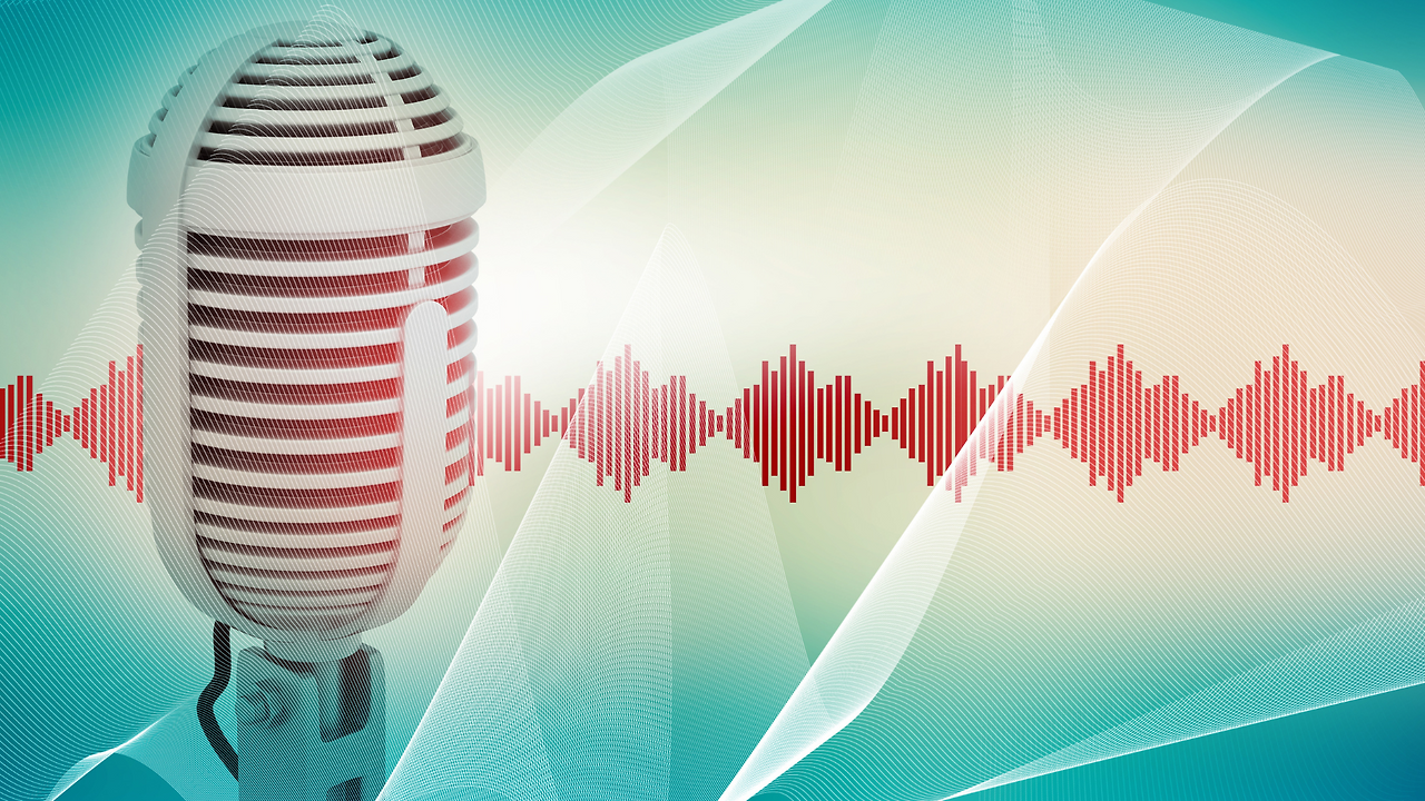 딥보이스 음성파동.png