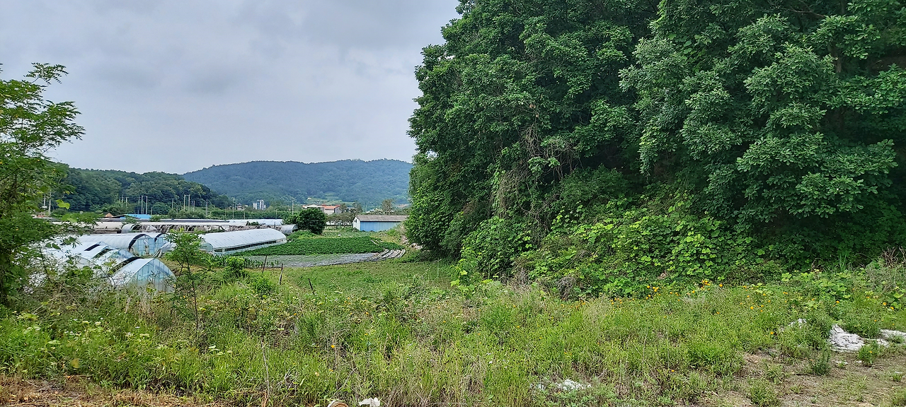 보통리 송장웅덩이.png