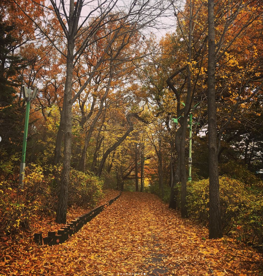 대공원의 가을.png