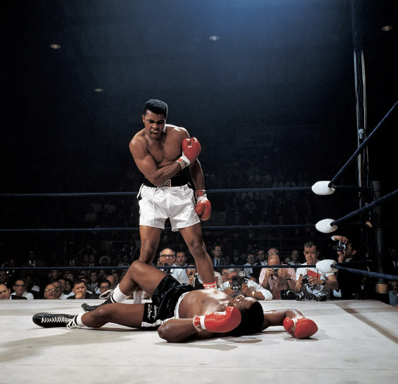 위대한 사진.png