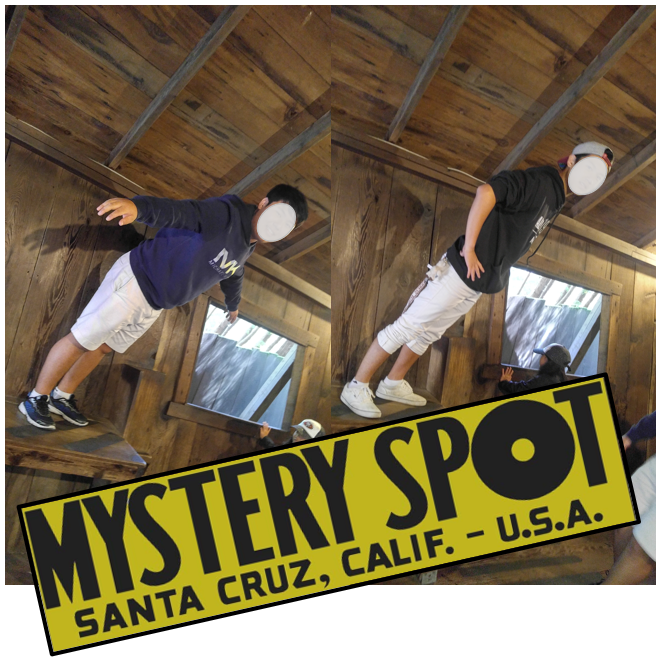 Mystery Spot_4.png