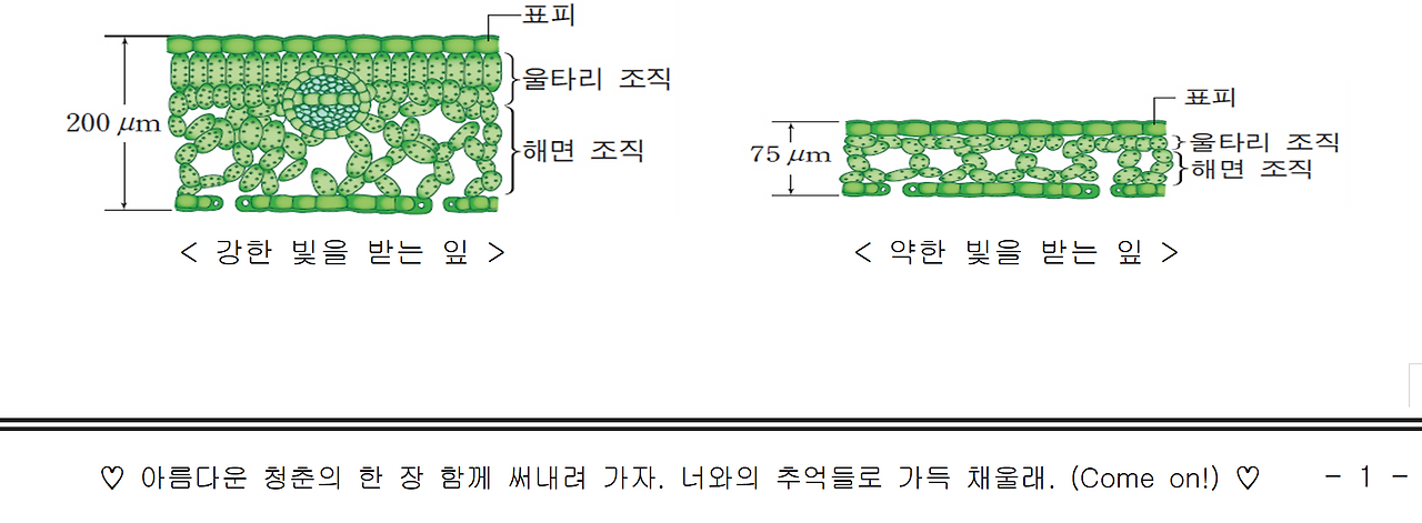 화면 캡처 2024-06-30 082552.png