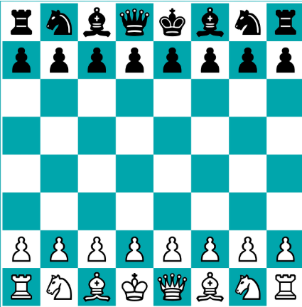 체스보드 포진도.png