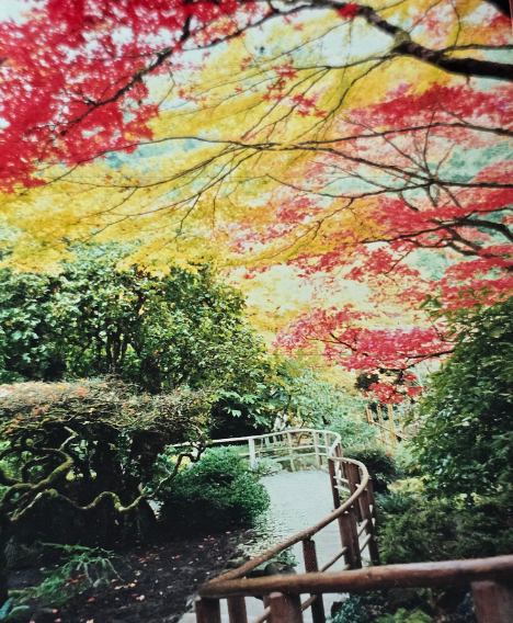 케나다 부챠드가든.png