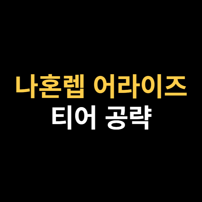 나 혼자만 레벨업 어라이즈 캐릭터 티어 리세마라 공략.png