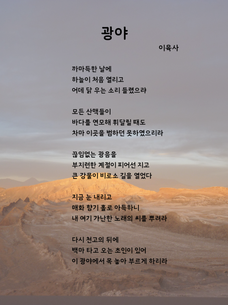 광야_(1).png