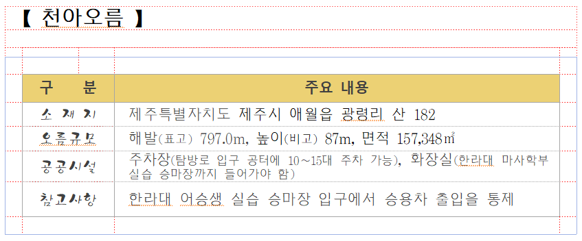 00. 천아오름.png