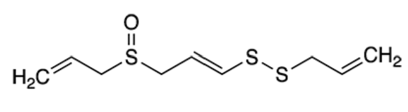 화면 캡처 2025-01-25 205449.png