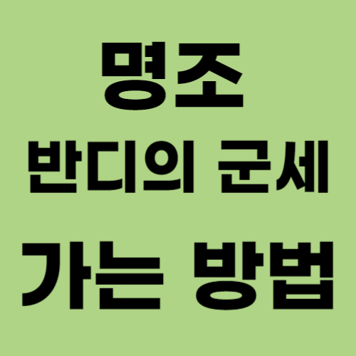 명조 반디의 군세 가는 방법 외부유입 썸네일-001.png