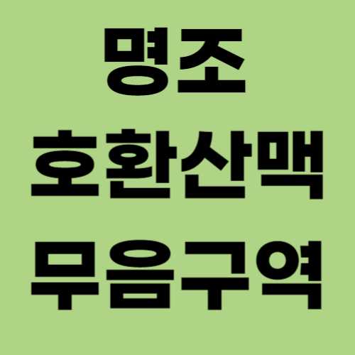 명조 호환산맥 무음구역 외부유입 썸네일-001.png