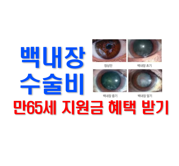 스크린샷 2025-07-06 094649.png