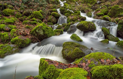 스크린샷 2025-01-03 162940.png