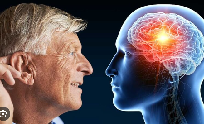 스크린샷 2024-11-05 161300.png