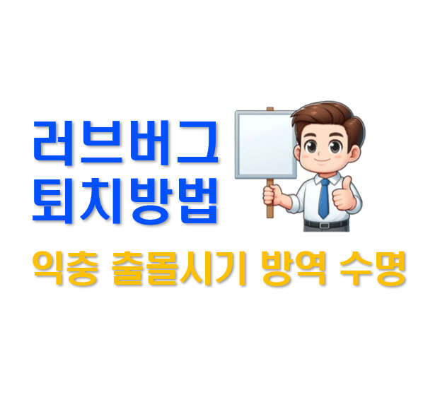 스크린샷 2025-07-01 234634.png