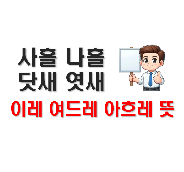 스크린샷 2025-03-18 224619.png