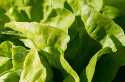 스크린샷 2025-07-10 205120.png