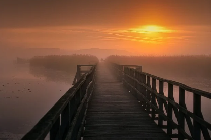 스크린샷 2025-01-03 162955.png