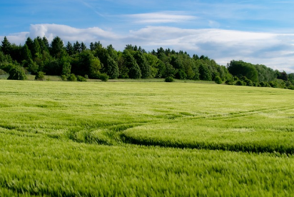 스크린샷 2025-01-03 163002.png