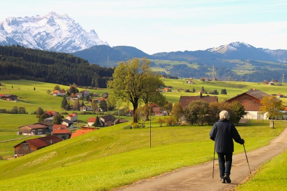 스크린샷 2024-12-21 163558.png