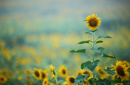 스크린샷 2024-12-20 083436.png