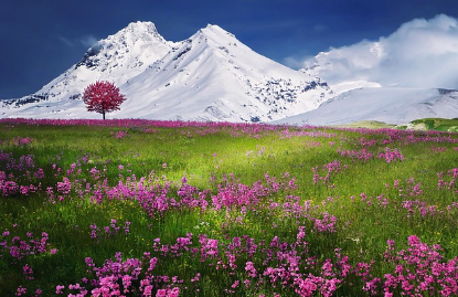 스크린샷 2025-01-03 163028.png