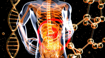 스크린샷 2025-03-23 083308.png